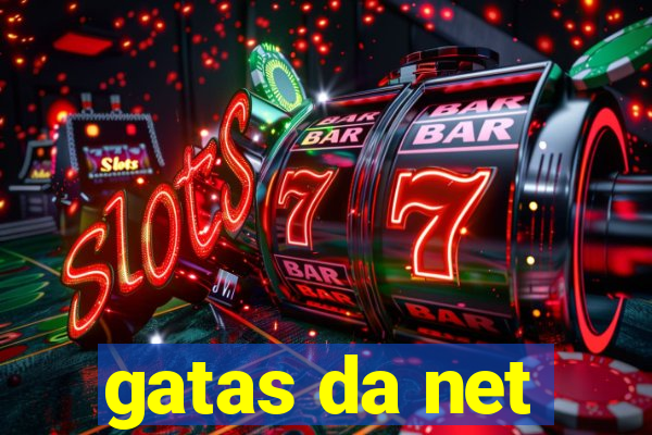 gatas da net